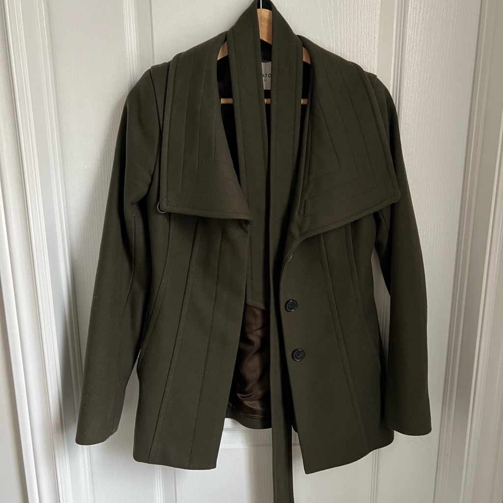 Aritzia Wool Jacket (Short Version)